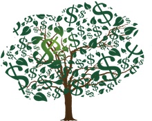 TCYM money tree logo